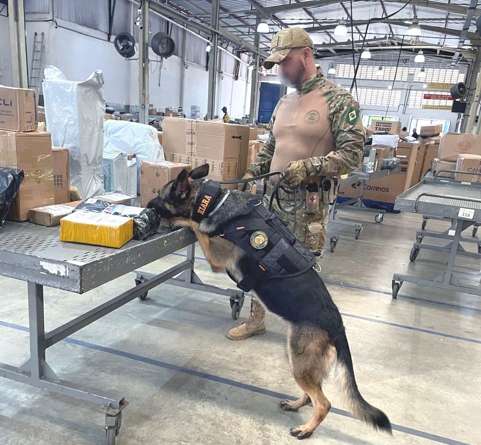 PF apreende maconha enviada através dos Correios em Natal